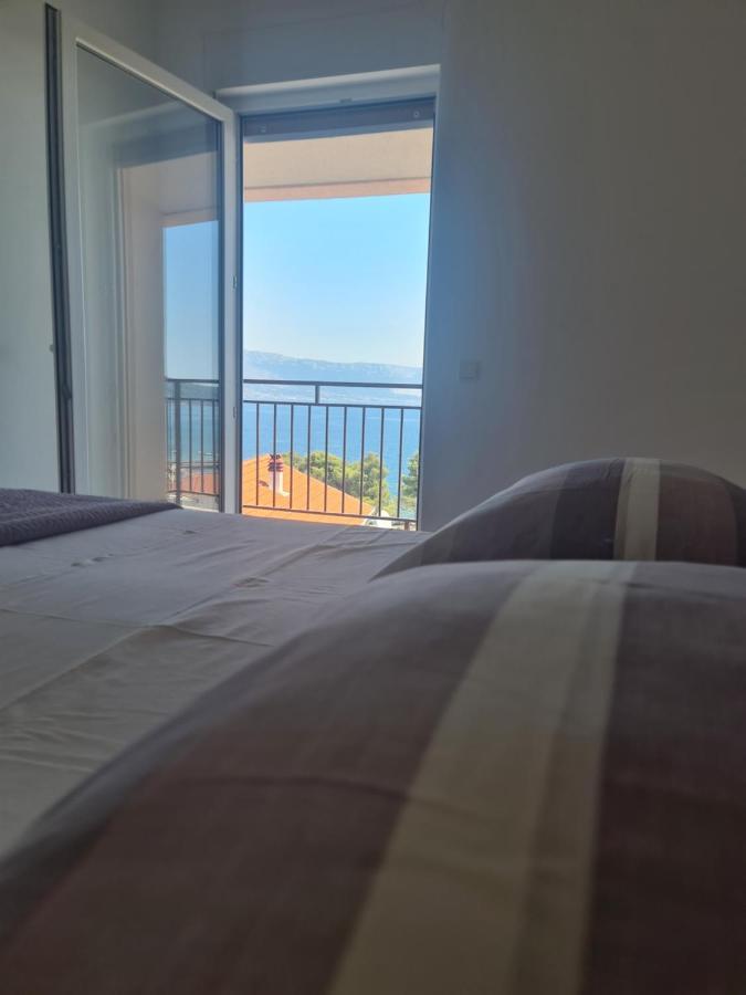 סלאטינה Apartments Jelica מראה חיצוני תמונה