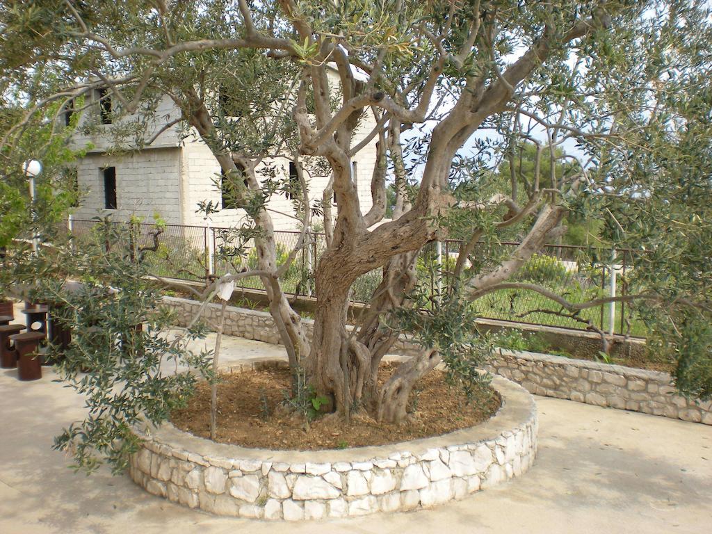 סלאטינה Apartments Jelica מראה חיצוני תמונה
